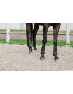 Fetlock and Tendon Boots EQUITHEME Je t'aime 2