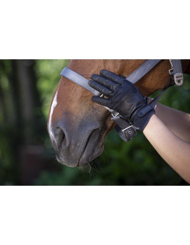 Soft Leather Gloves Equitheme