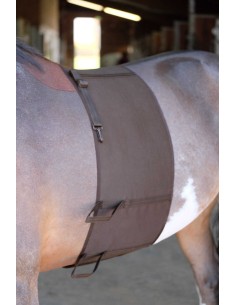 NORTON Belly Band 2