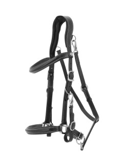 Bridle halter Norton Trekking