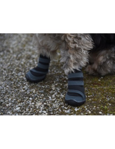 Paw Protector Active (set of 2)