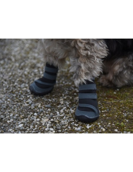 Paw Protector Active (set of 2)