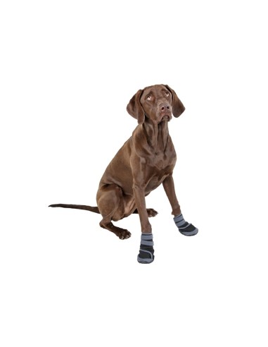 Paw Protector Active (set of 2)