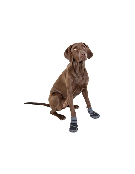 Paw Protector Active (set of 2)