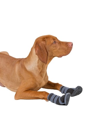 Paw Protector Active (set of 2)