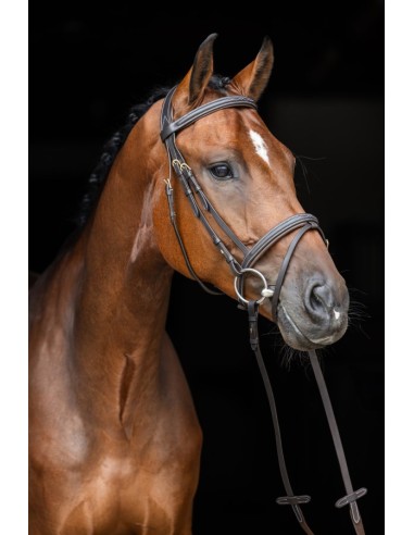 Bridle Classic