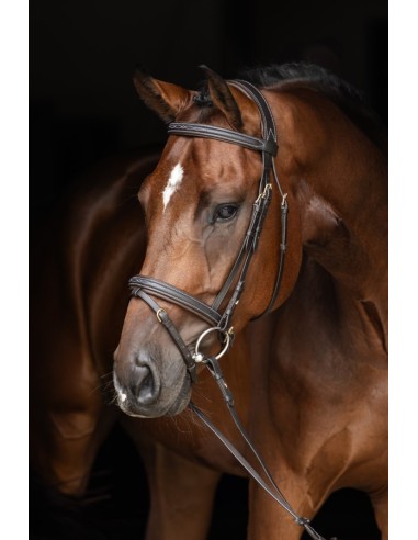 Bridle Classic