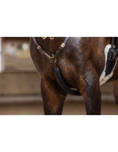 Martingale protectors