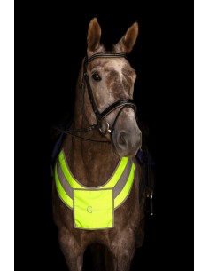 Reflective Breastplate