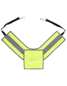 Reflective Breastplate 2