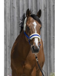 RIDING WORLD HEADCOLLAR, SYNTHETIC SHEEPSKIN 2