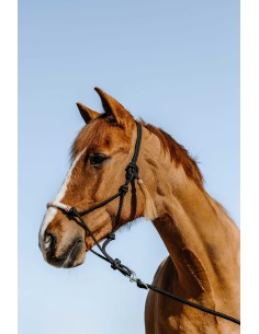 Westride Western Rope Halter 2