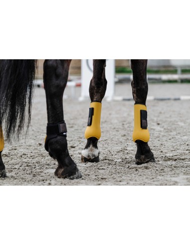 EQUITHЕME - Tara - Tendon boots