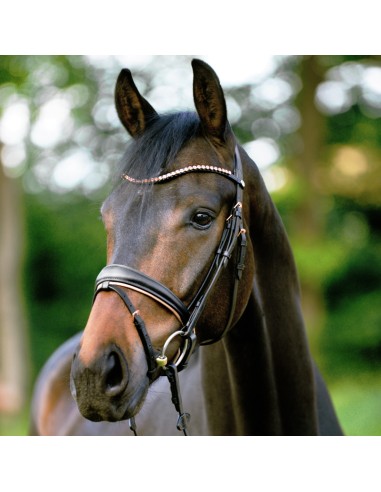 Bridle Rose crank noseband with flash