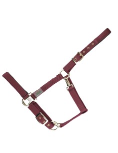 HALTER EVERYDAY SINGLE-COLOURED, PADDED 2