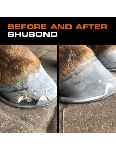 Shubond Beige 150CC 2