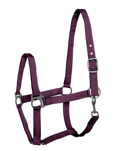 Halter API ECO - different colors
