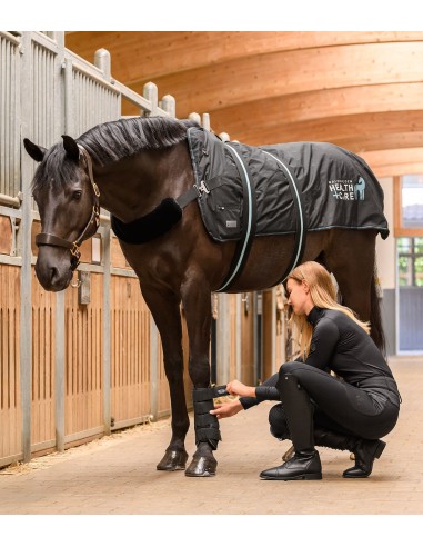 Waldhausen Health + Care TecSupreme tendon boots