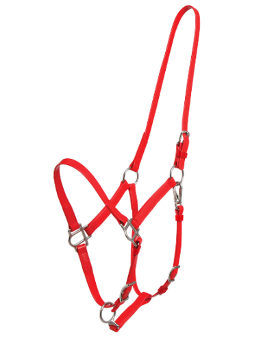 Deluxe Endurance Halter - Arab