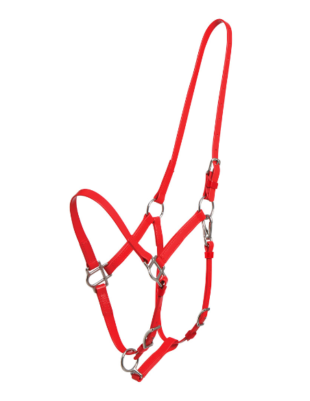 Deluxe Endurance Halter - Arab