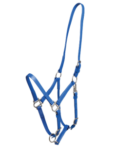 Deluxe Endurance Halter - Arab