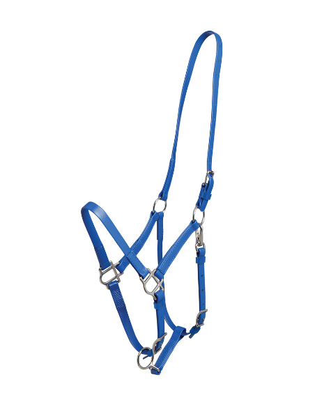 Deluxe Endurance Halter - Arab