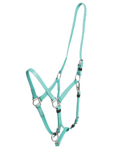 Deluxe Endurance Halter - Arab