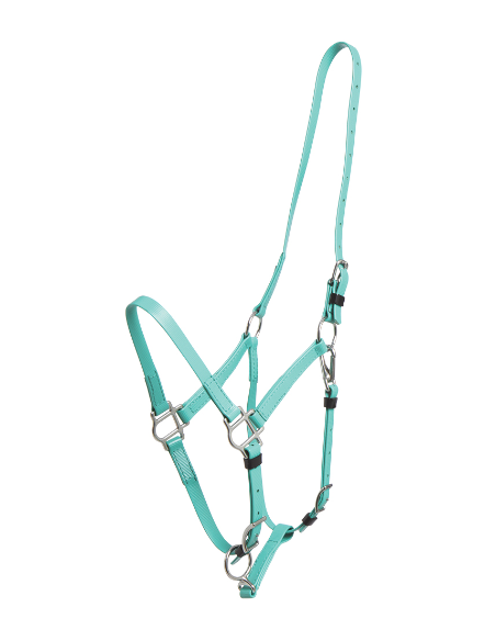 Deluxe Endurance Halter - Arab