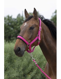 NORTON "Large" headcollar + lead rope