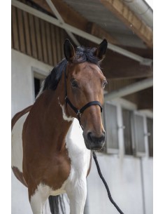 Комплект оглавник и повод за водене на коне Riding World
