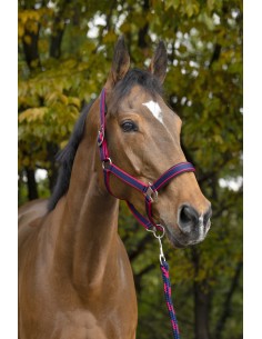 EQUITHÈME - Satin - Halter + Lead