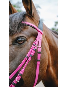 Endurance Bridle Pop Norton 2