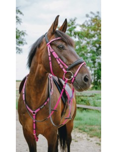 Endurance Bridle Pop Norton