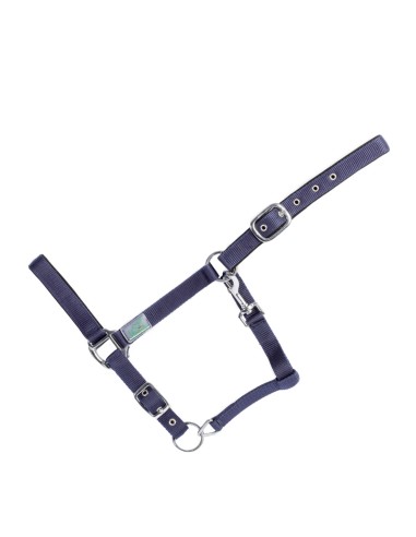 Halter Basic, Single-Coloured, Padded