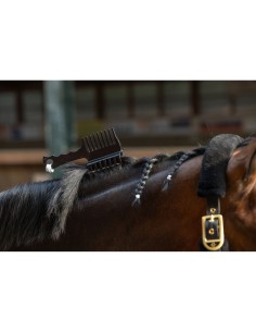 Mane Comb Competition 2