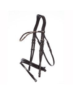 Patent-Bridle "Reyna" crank nb. with flash