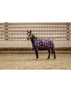 Зимна водоустойчива попона за коне Equitheme Licorne 600D...
