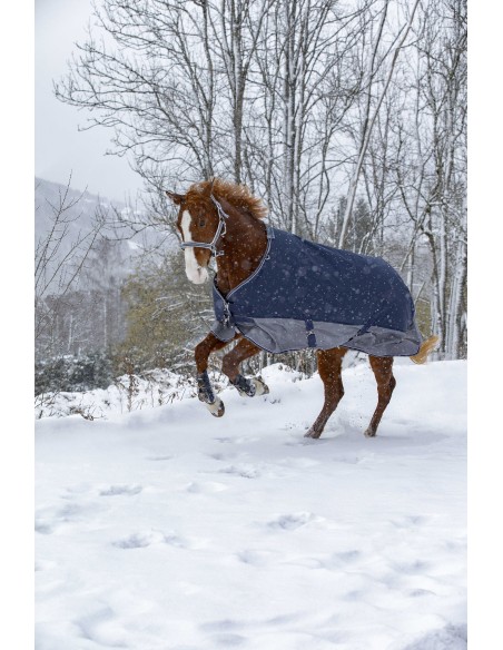 Turnout Rug Equithеme Tyrex 600D - Fleece Lined