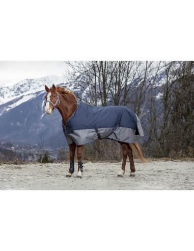 Turnout Rug Equithеme Tyrex 600D - Fleece Lined