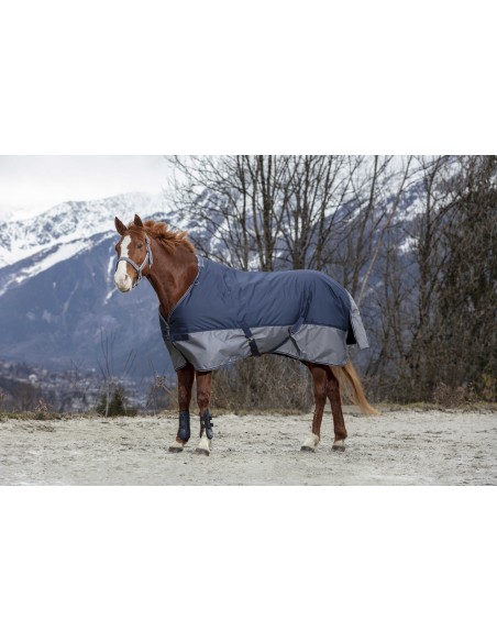 Turnout Rug Equithеme Tyrex 600D - Fleece Lined