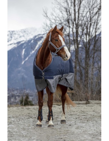 Turnout Rug Equithеme Tyrex 600D - Fleece Lined