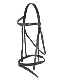 Bridle Coldblood