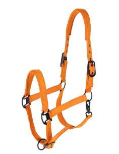 Halter Covalliero AW26 2