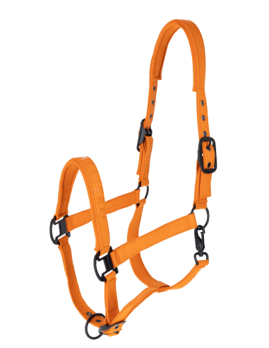 Halter Covalliero AW26