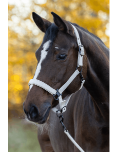Halter Covalliero AW26