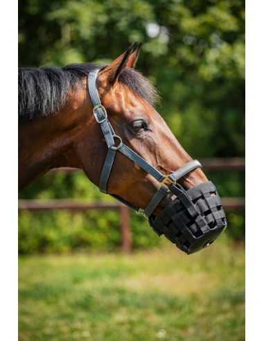 Horse Guard grass reducer for halter