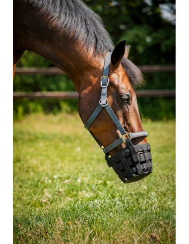 Horse Guard grass reducer for halter