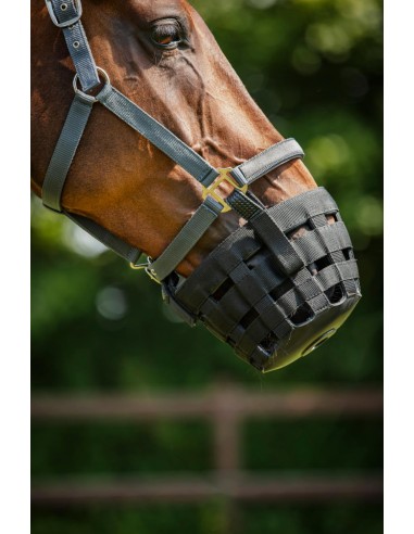 Horse Guard grass reducer for halter