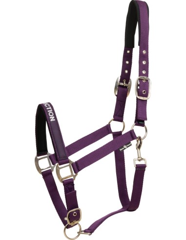Horse Guard Malva halter
