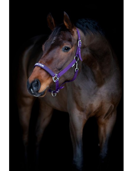 Horse Guard Malva halter